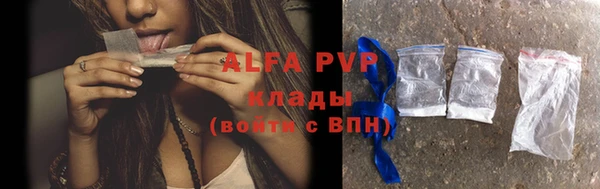 PSILOCYBIN Яранск