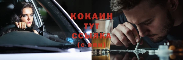 PSILOCYBIN Яранск