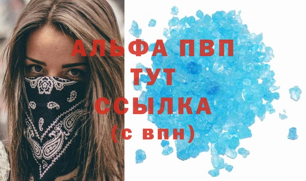 PSILOCYBIN Яранск