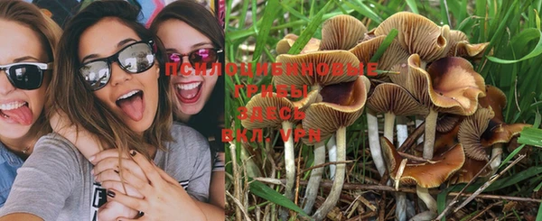 PSILOCYBIN Яранск