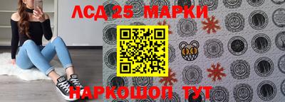СК Дубна