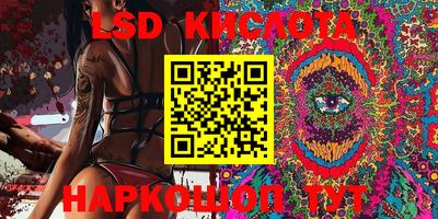 шишки Будённовск