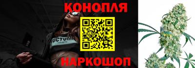 шишки Будённовск