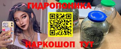 шишки Бузулук