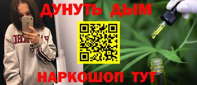 СК Дубна
