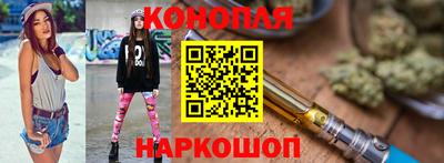 СК Дубна