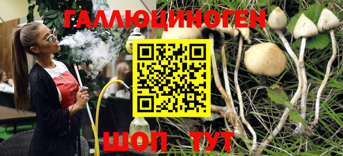 Галлюциногенные грибы прущие грибы  Вход с VPN  Псилоцибиновые грибы ЛСД  Салават 