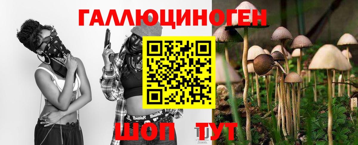 Галлюциногенные грибы Psilocybine cubensis Салават