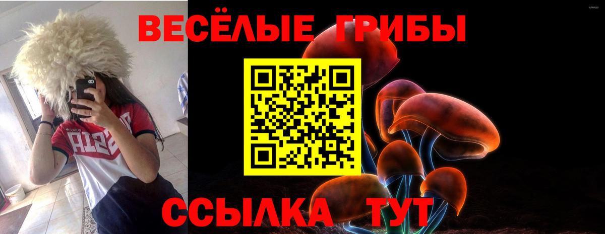 Псилоцибиновые грибы Psilocybe Салават